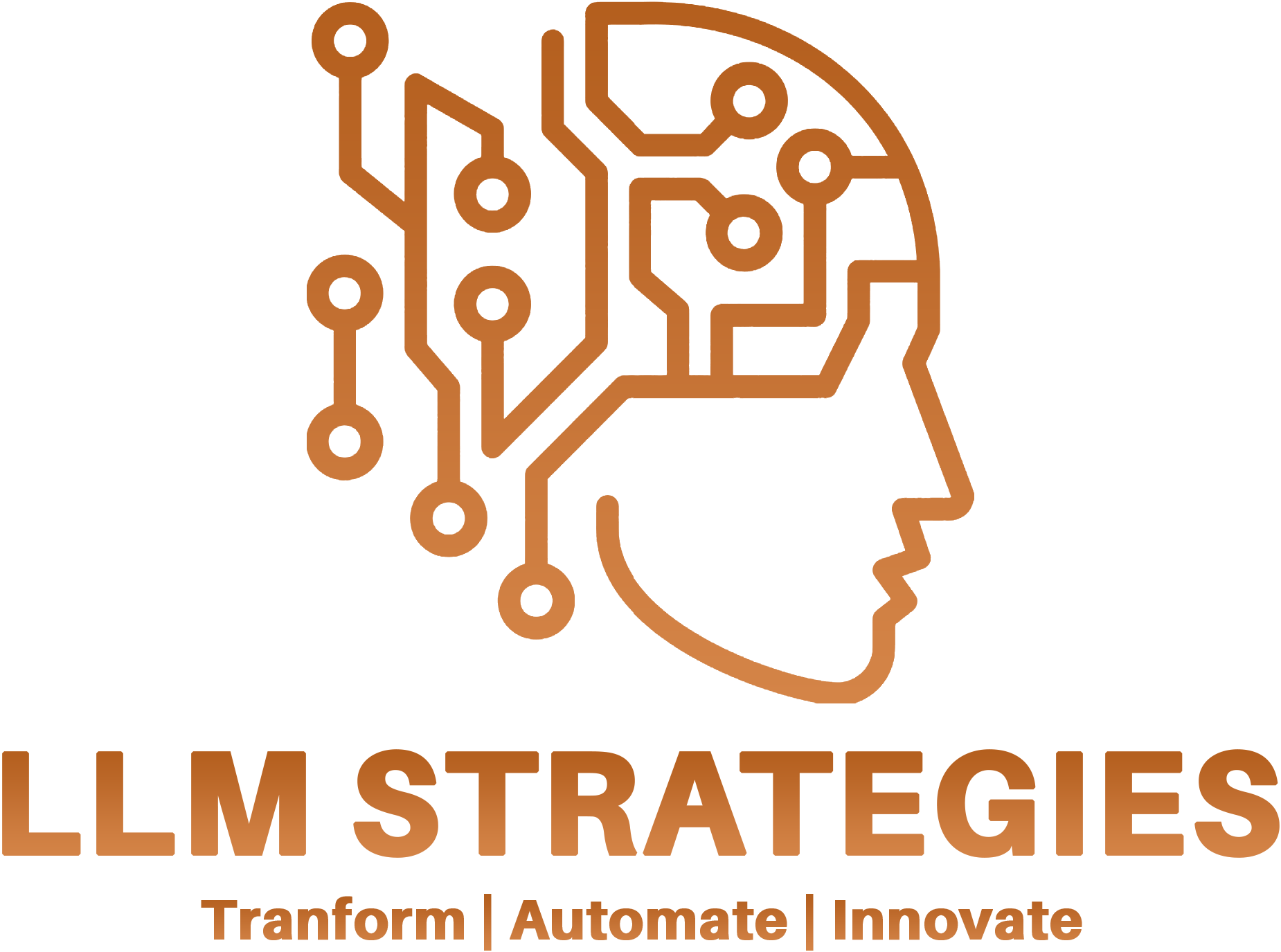 LLM Strategies